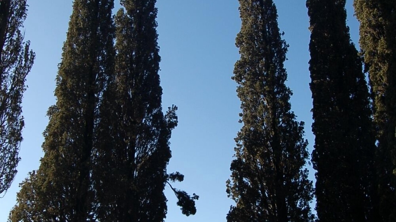 Photo of Others in Varenna