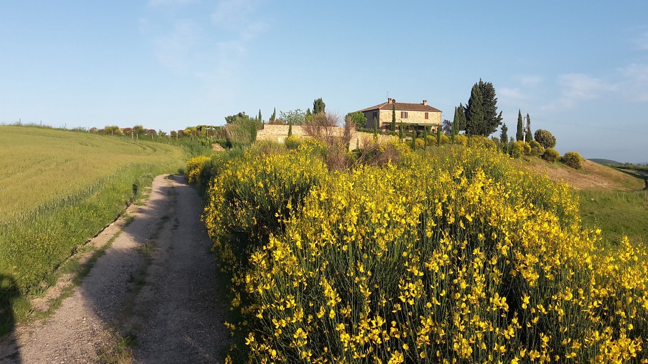 Photo of Outdoor in Bollano