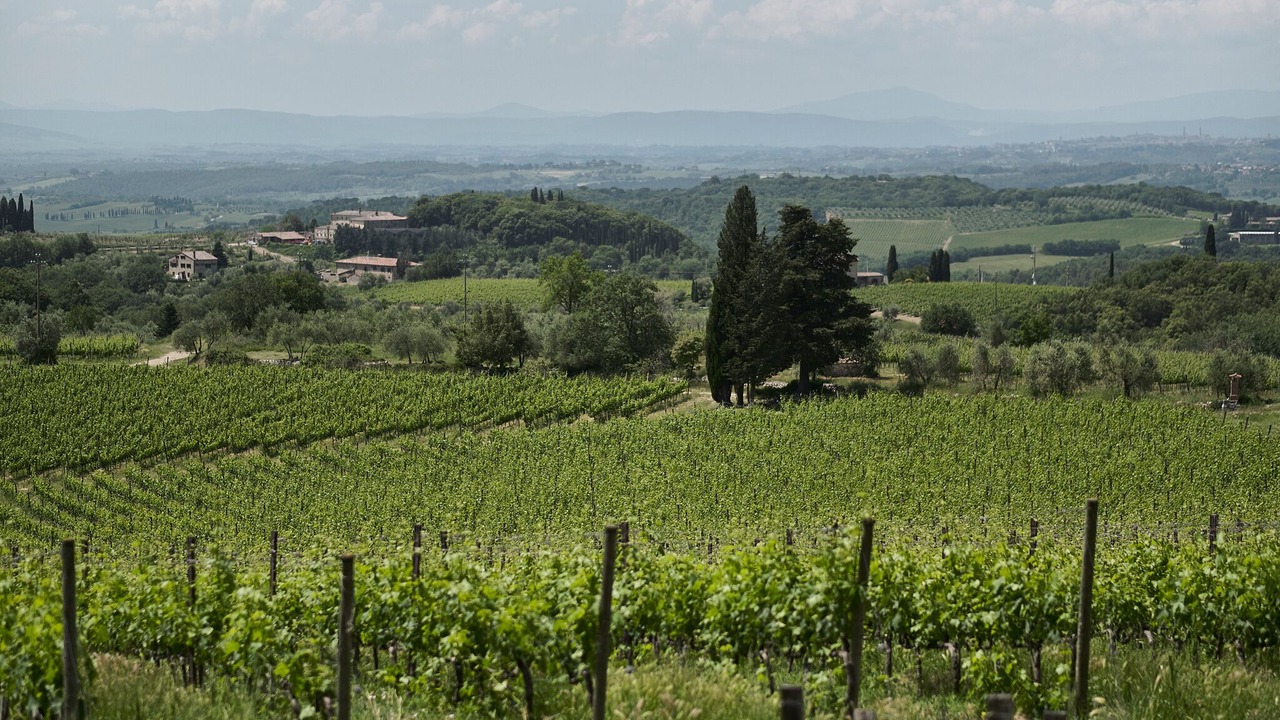 Photo of Outdoor in Villa A Sesta