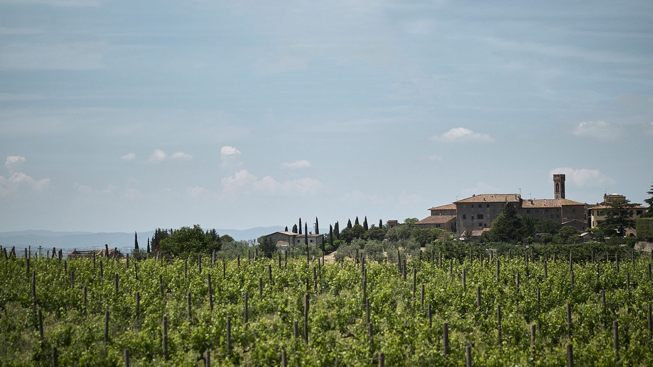 Photo of Others in Villa A Sesta