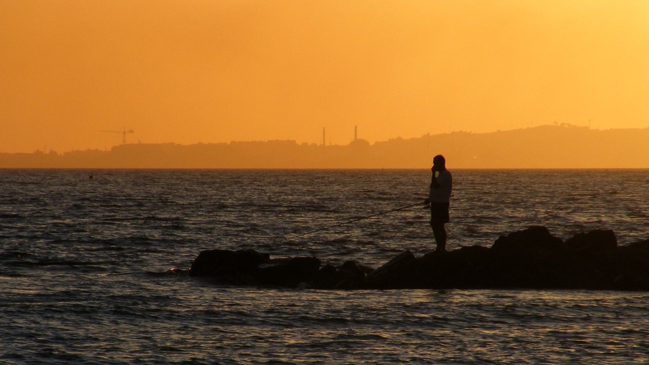 Photo of Others in Follonica