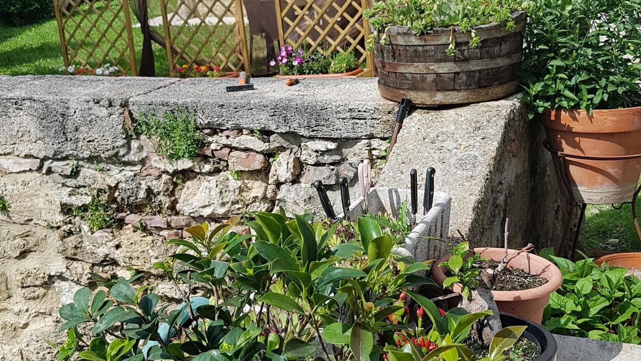 Photo of Outdoor in Armaiolo