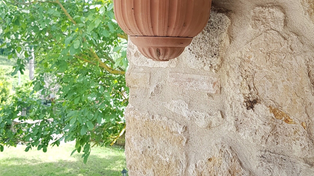 Photo of Outdoor in Armaiolo