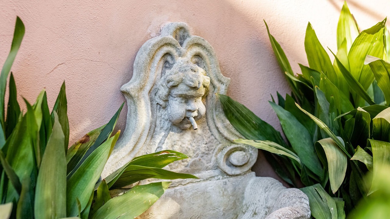 Photo of Outdoor in Tivoli