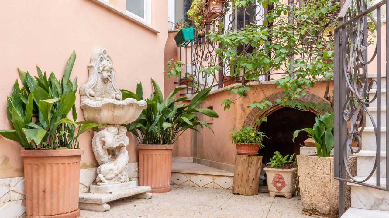 Photo of Outdoor in Tivoli