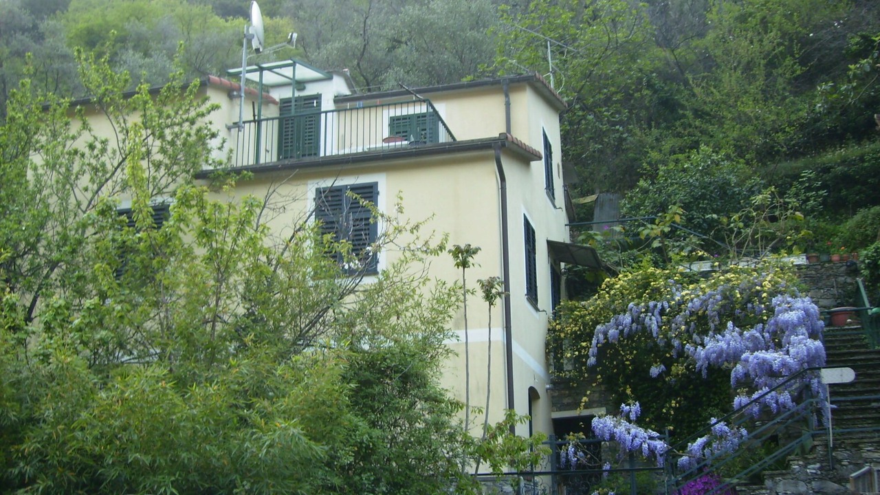 Photo of Outdoor in Sori