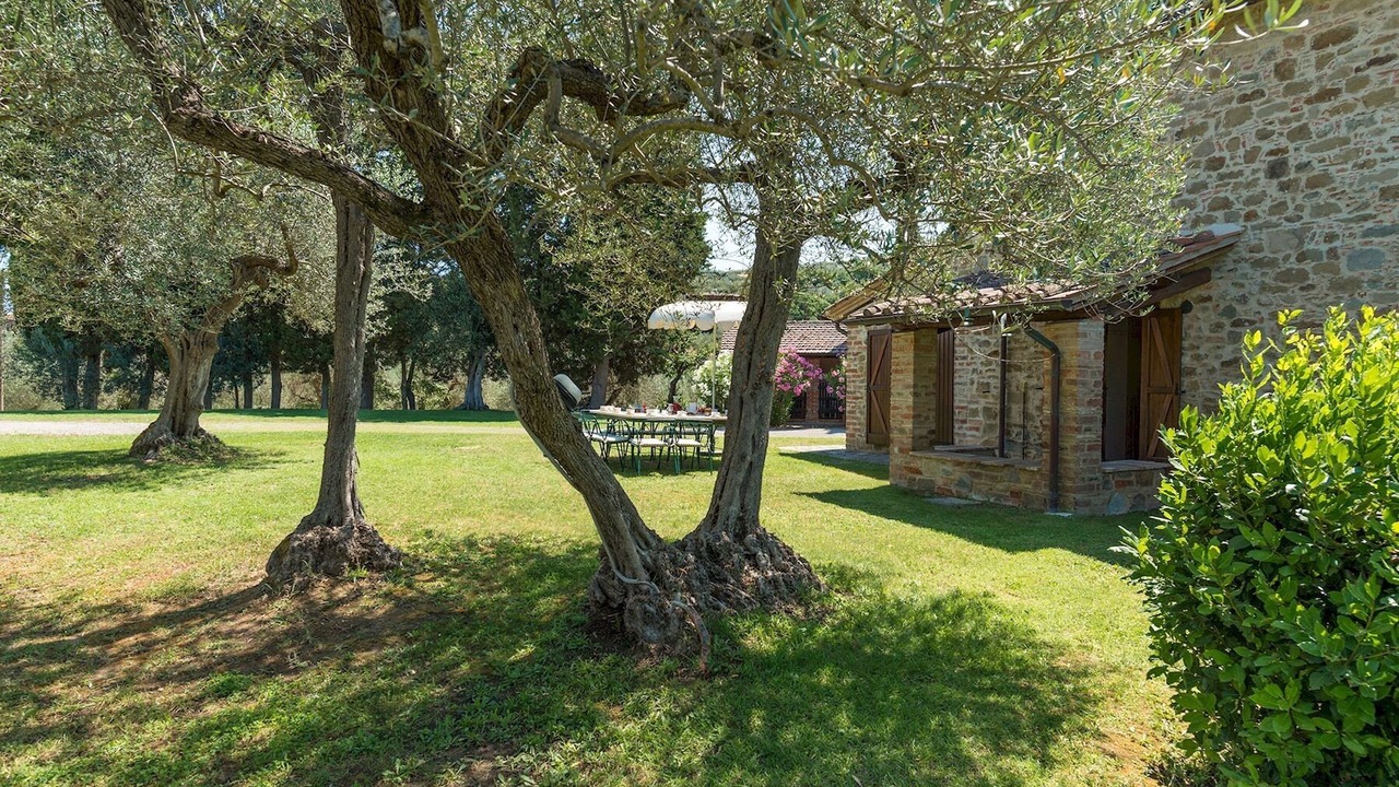 Photo of Outdoor in Paciano