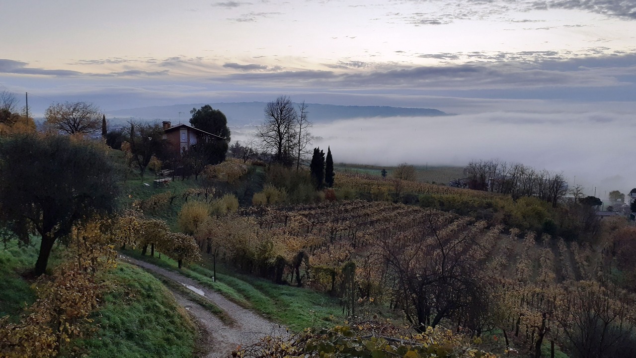 Photo of Outdoor in Cornuda