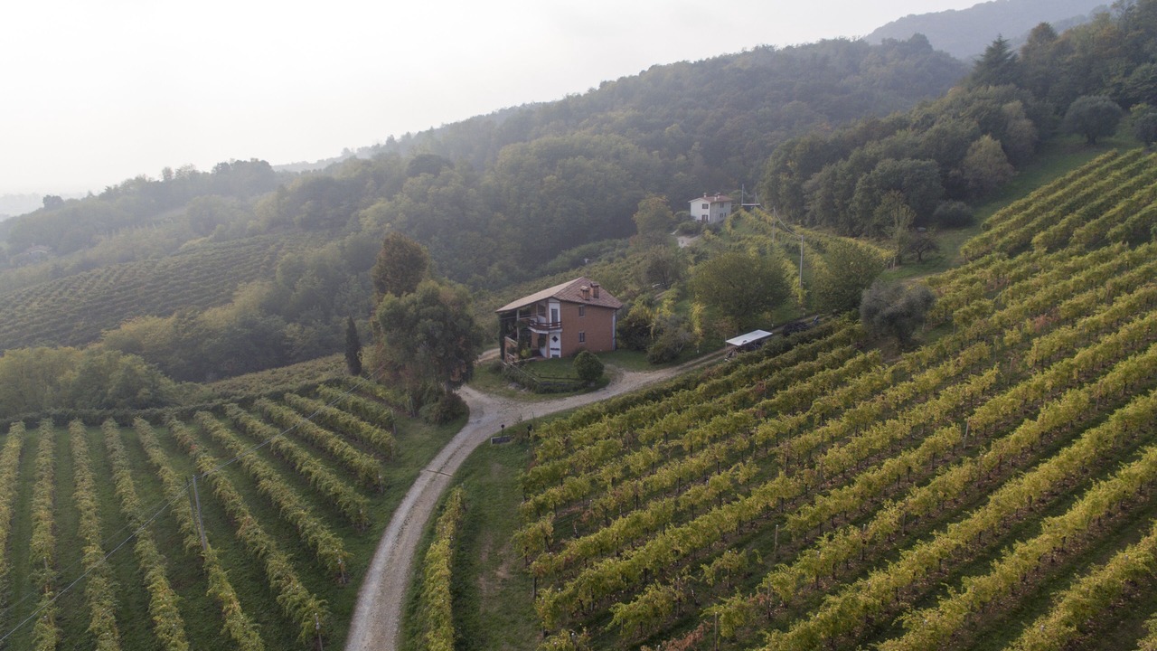 Photo of Others in Cornuda