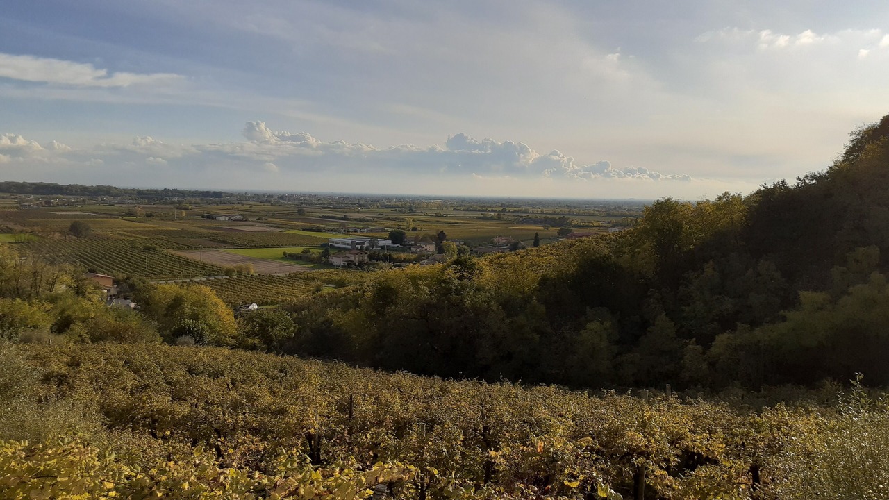 Photo of Others in Cornuda