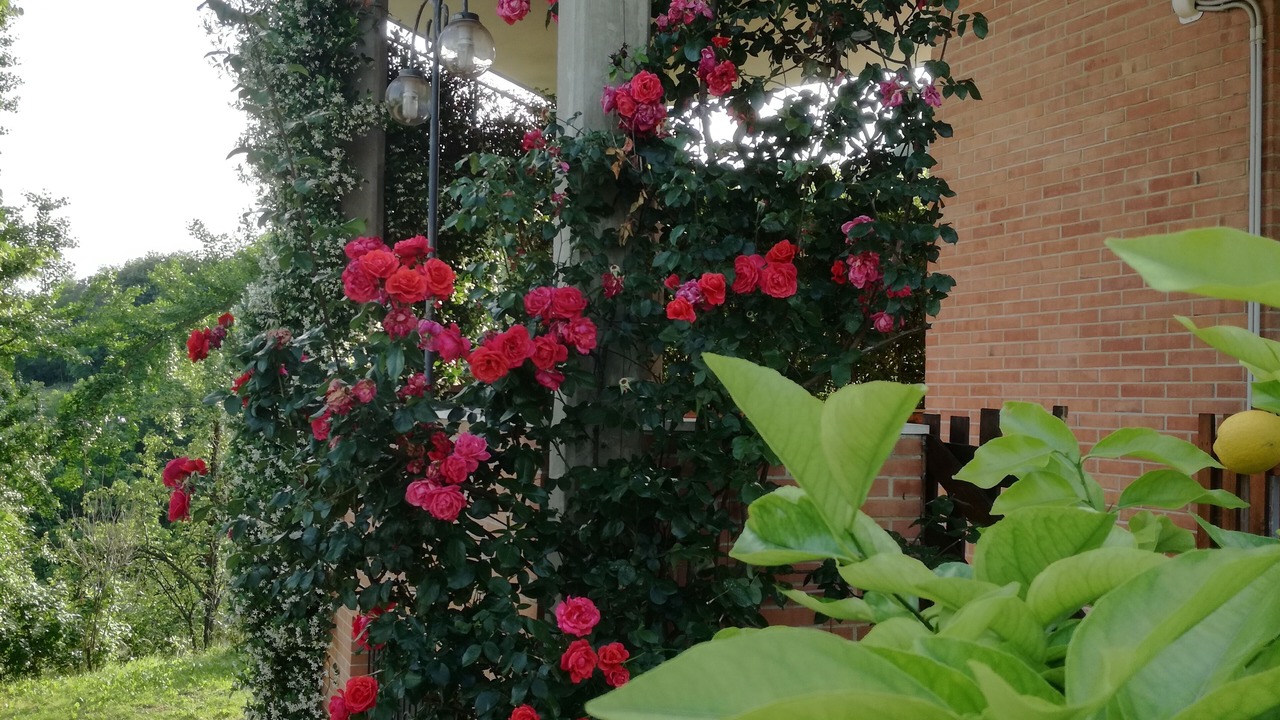 Photo of Outdoor in Cornuda