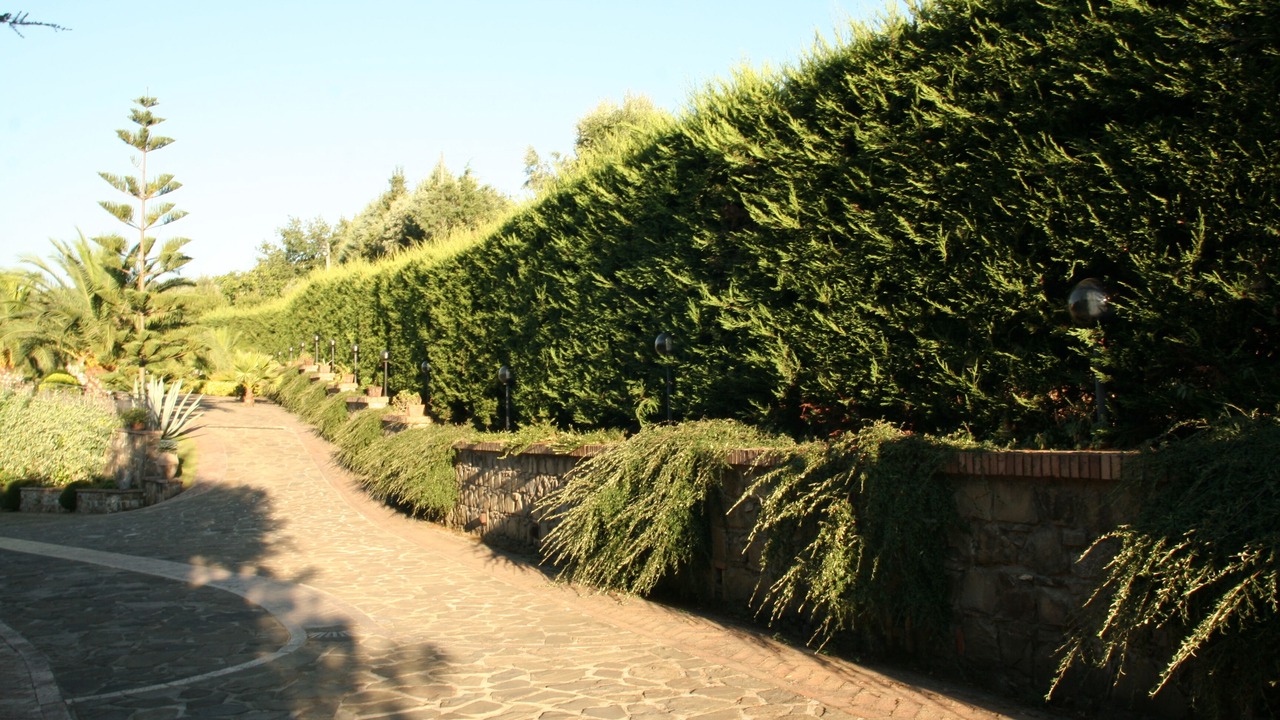 Photo of Outdoor in Laureana Cilento