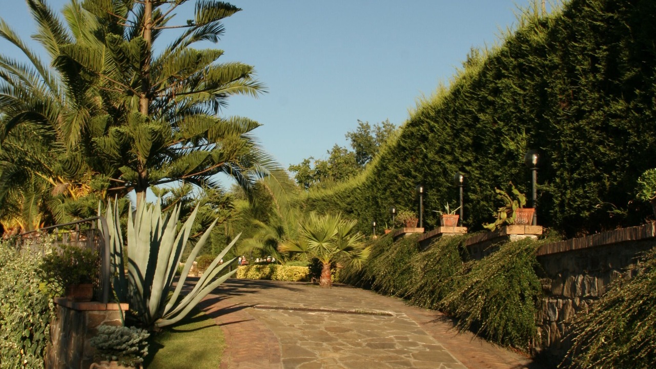 Photo of Outdoor in Laureana Cilento