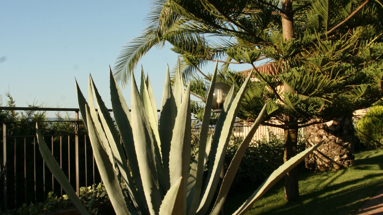 Photo of Outdoor in Laureana Cilento