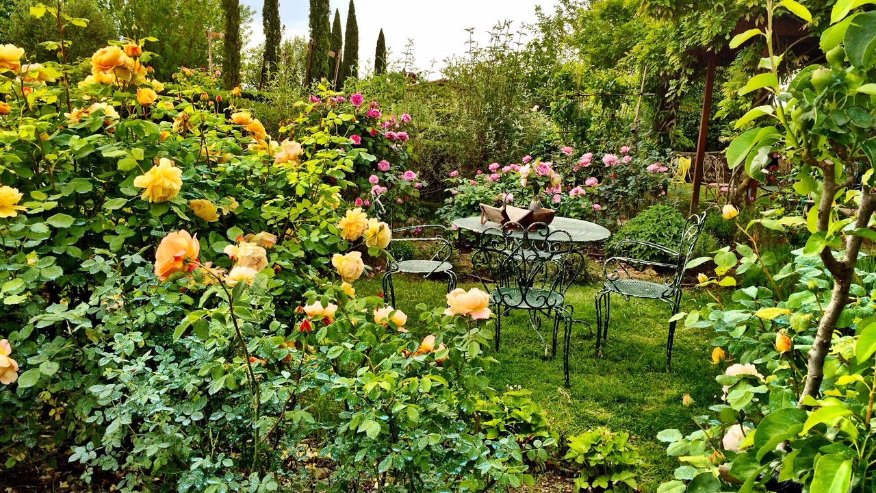 Photo of Outdoor in Castelnuovo Berardenga