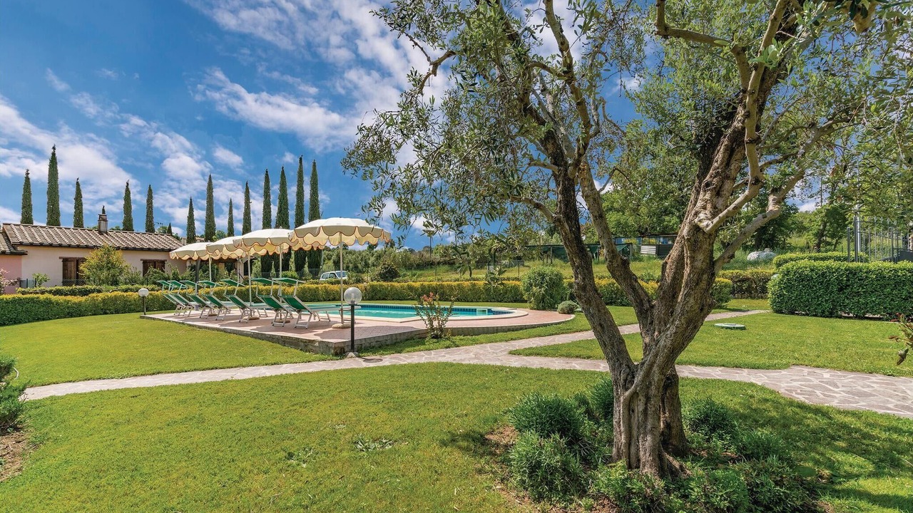 Photo of Outdoor in Scansano