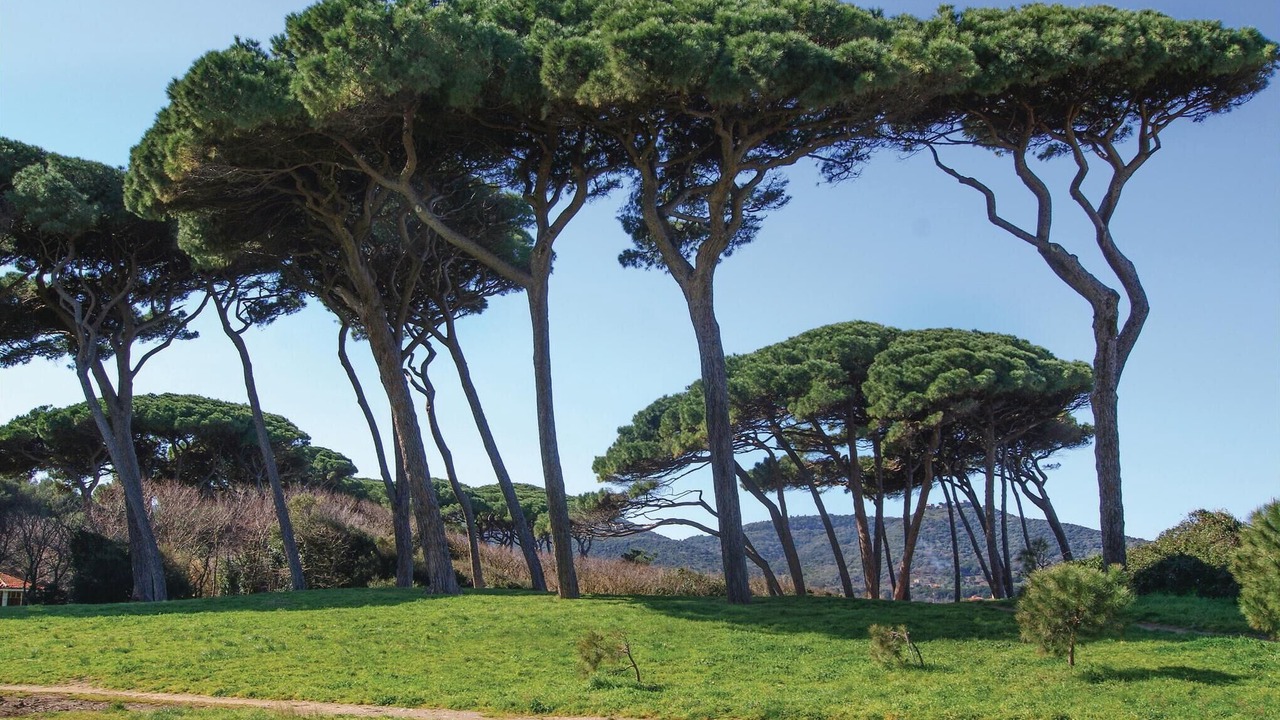 Photo of Others in Scansano