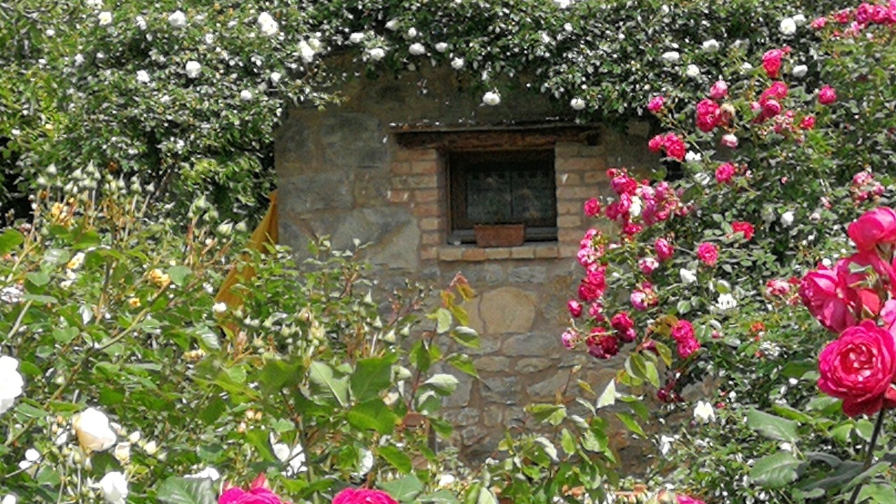 Photo of Outdoor in Nogarolo