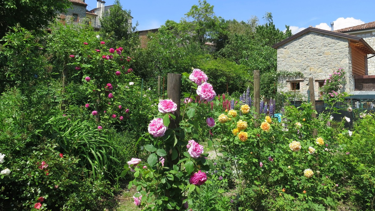 Photo of Outdoor in Nogarolo