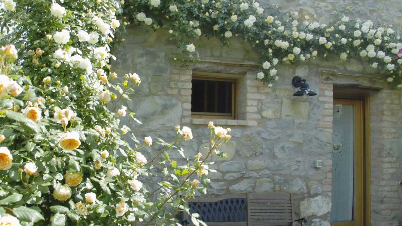 Photo of Outdoor in Nogarolo