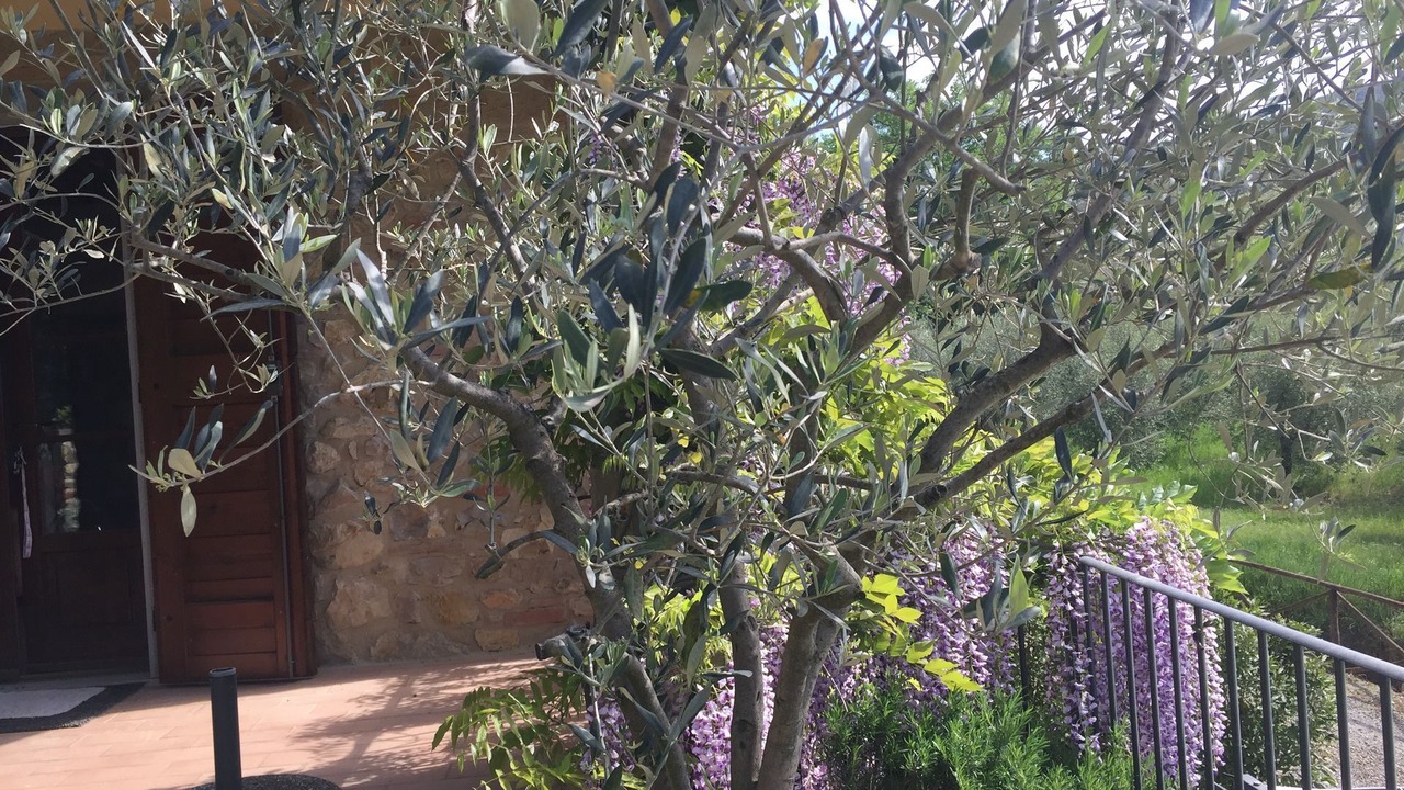 Photo of Others in Villa A Sesta