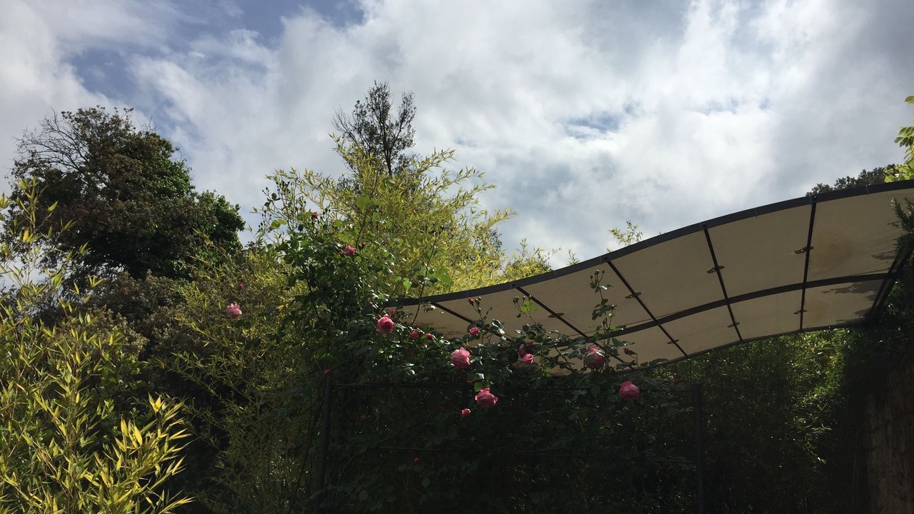 Photo of Outdoor in Villa A Sesta