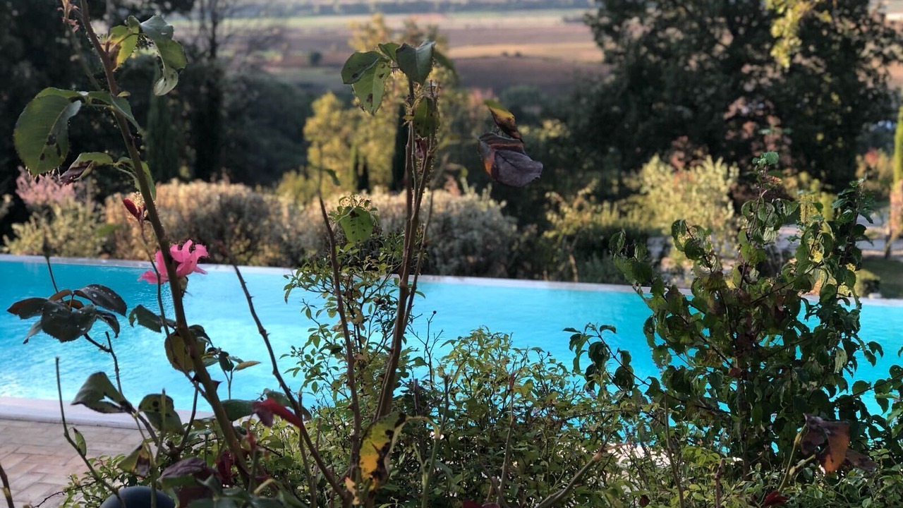 Photo of Outdoor in Paciano
