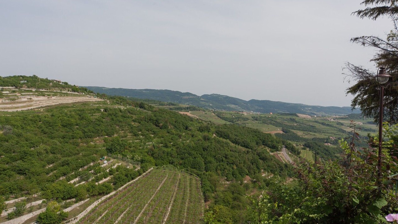 Photo of Others in Marano di Valpolicella
