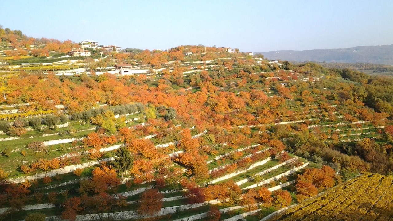 Photo of Outdoor in Marano di Valpolicella