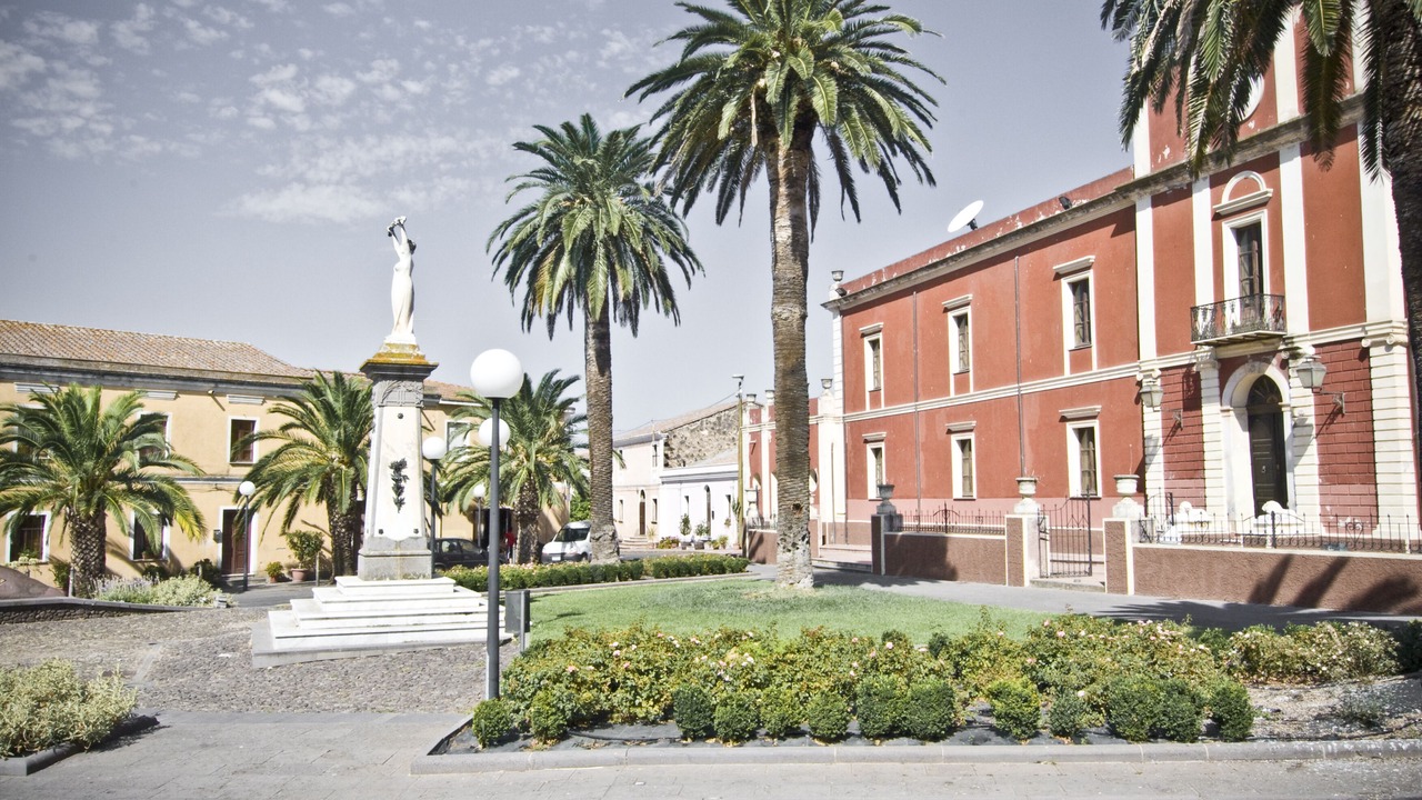 Photo of Others in Milis