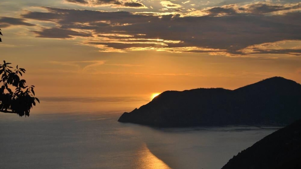 Photo of Others in Riomaggiore