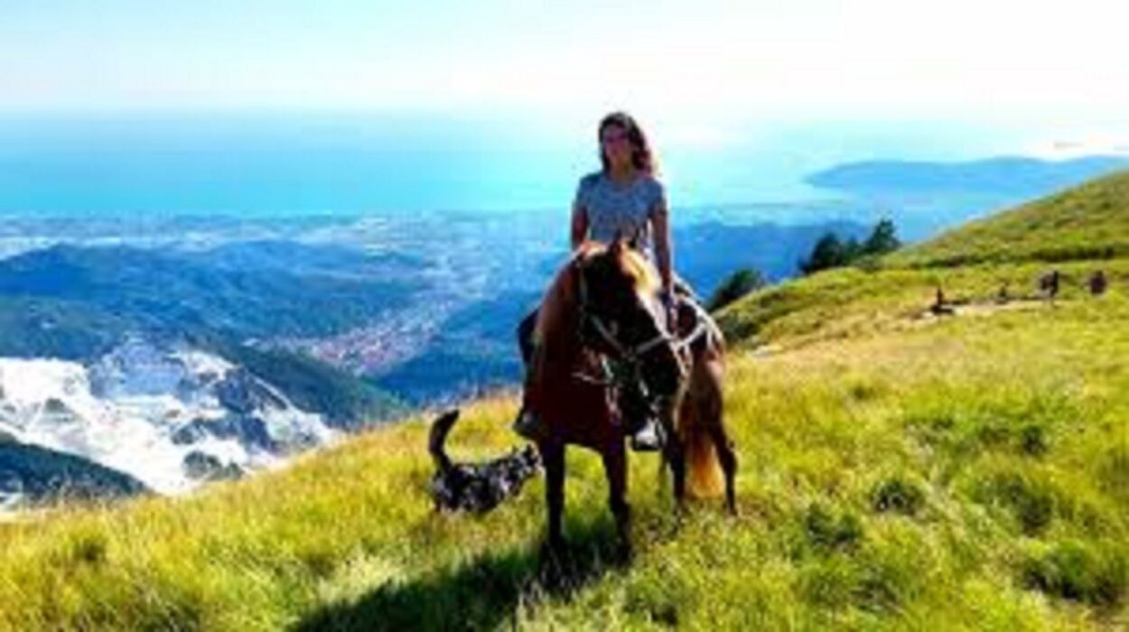 Photo of Others in Tresana