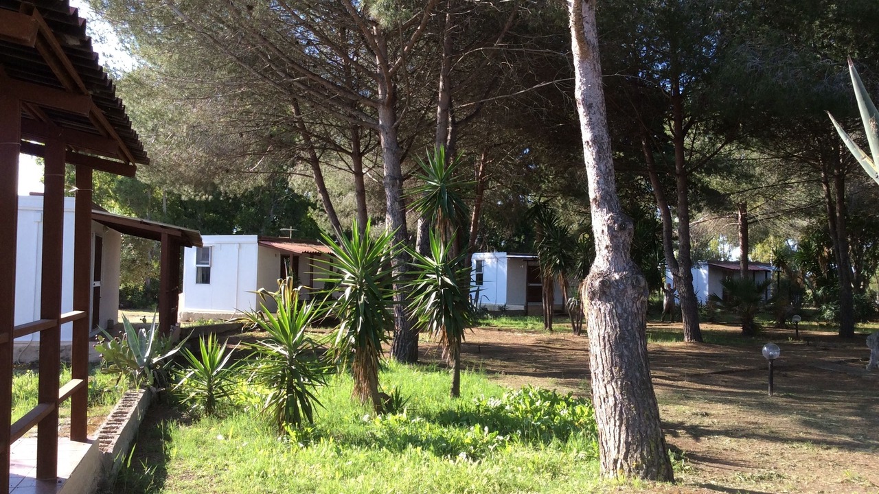 Photo of Outdoor in Cabras