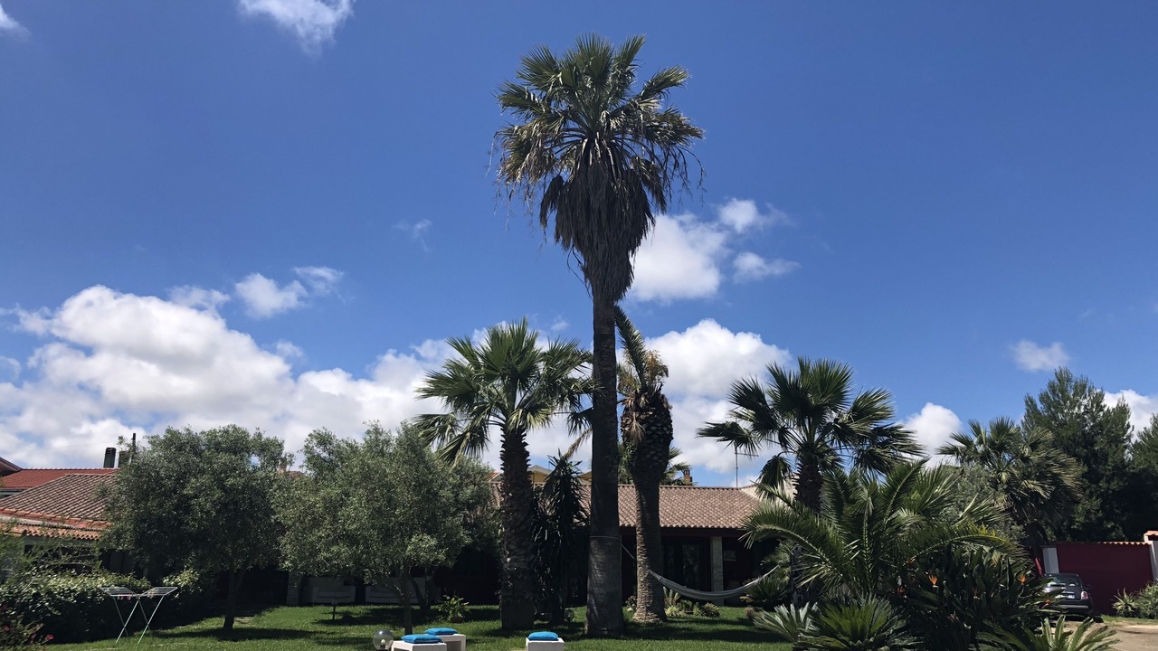 Photo of Outdoor in Cabras
