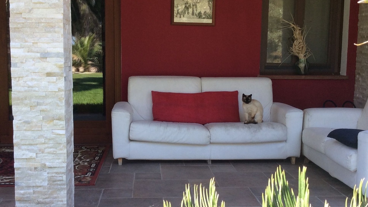 Photo of Patio Balcony in Cabras
