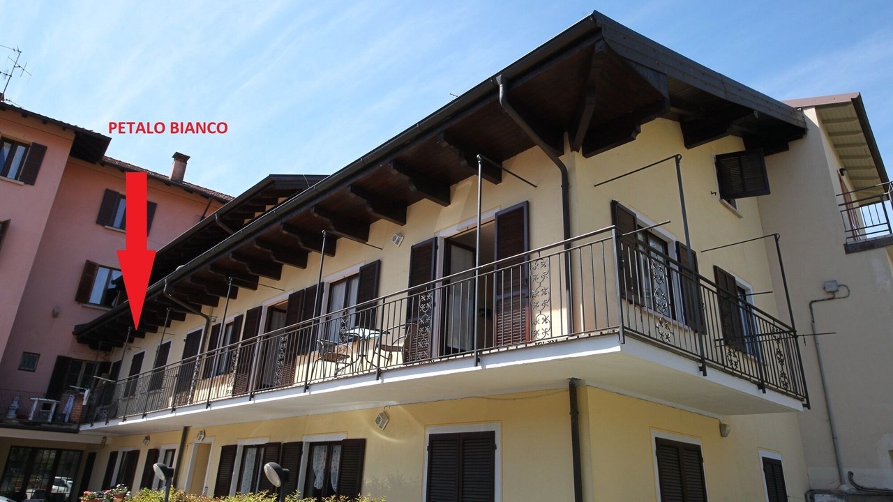 Photo of Others in Baveno