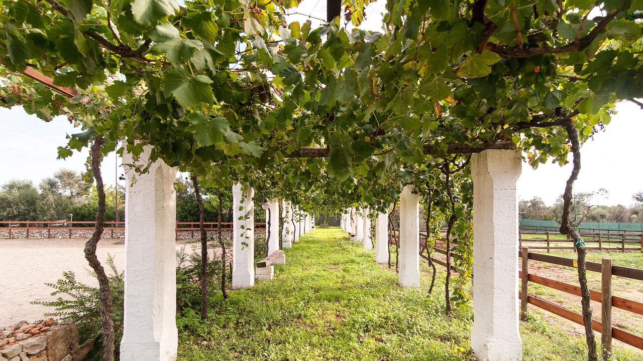 Photo of Outdoor in Racale