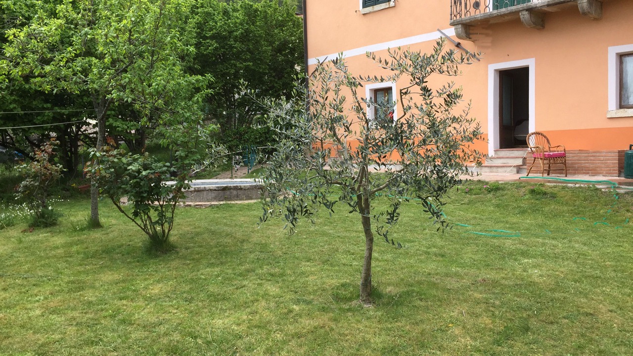 Photo of Outdoor in Montieri