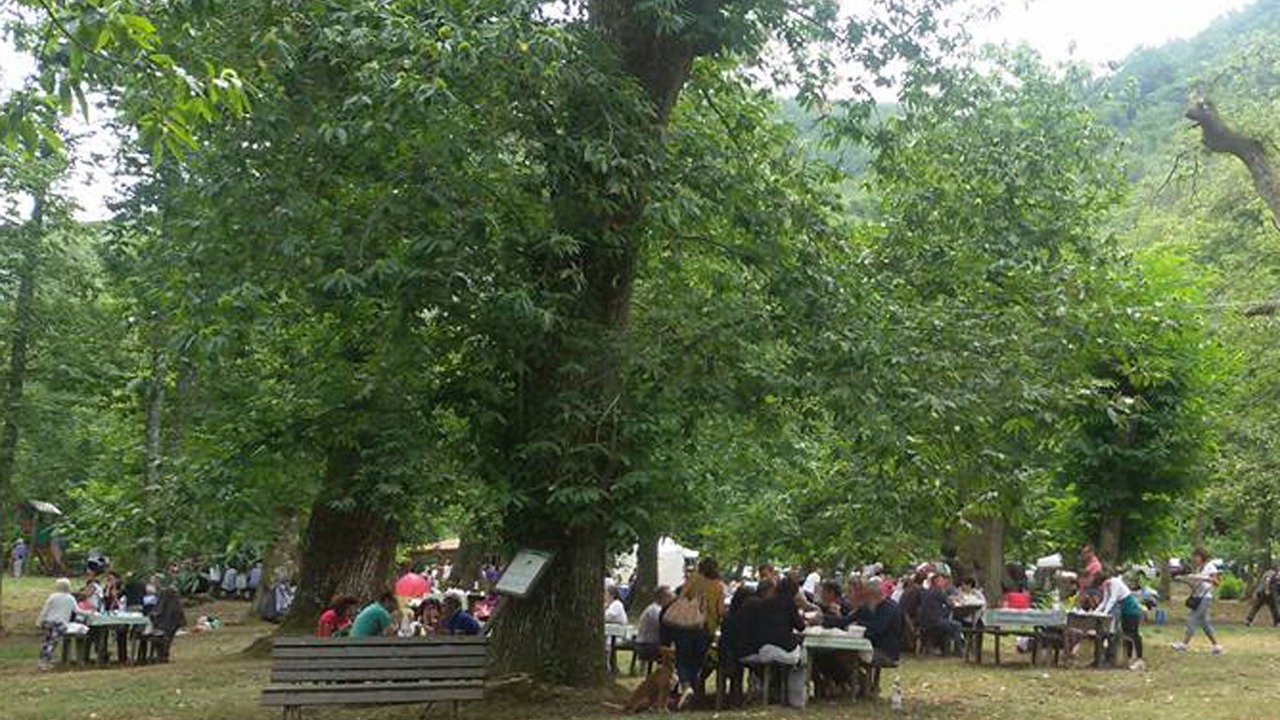 Photo of Outdoor in Montieri