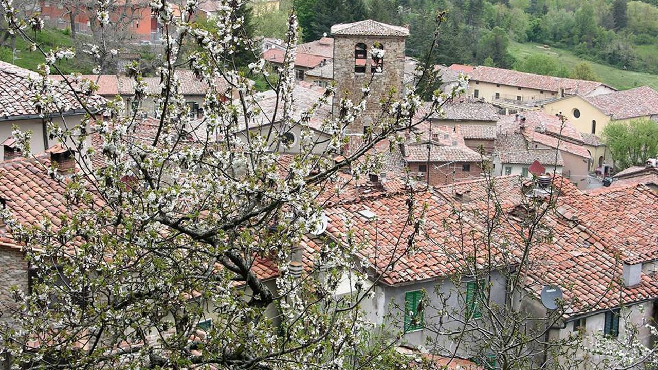 Photo of Outdoor in Montieri