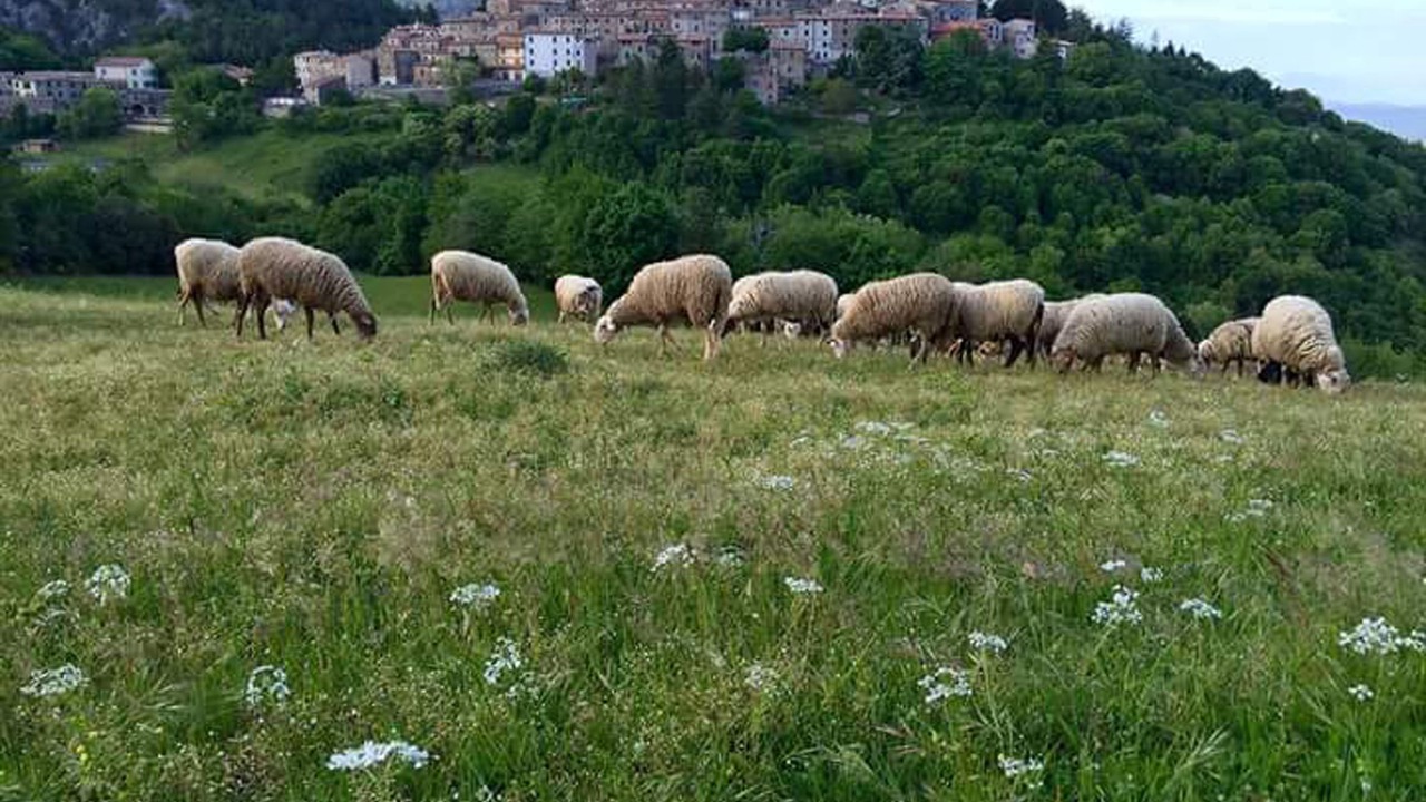 Photo of Outdoor in Montieri