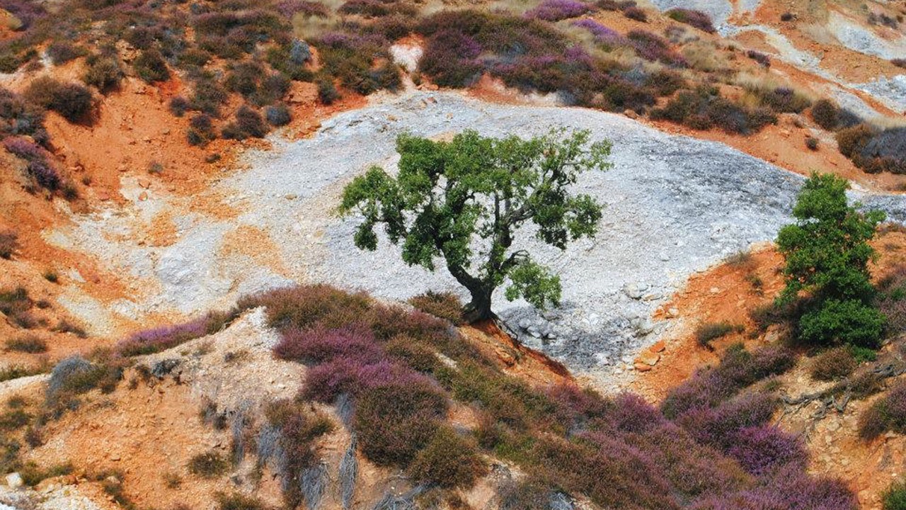 Photo of Outdoor in Montieri