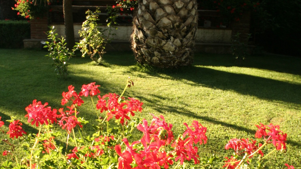 Photo of Outdoor in Laureana Cilento