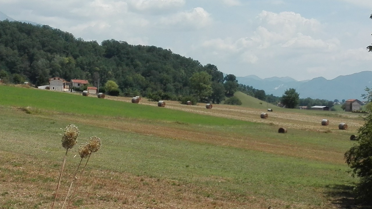 Photo of Others in Alvito