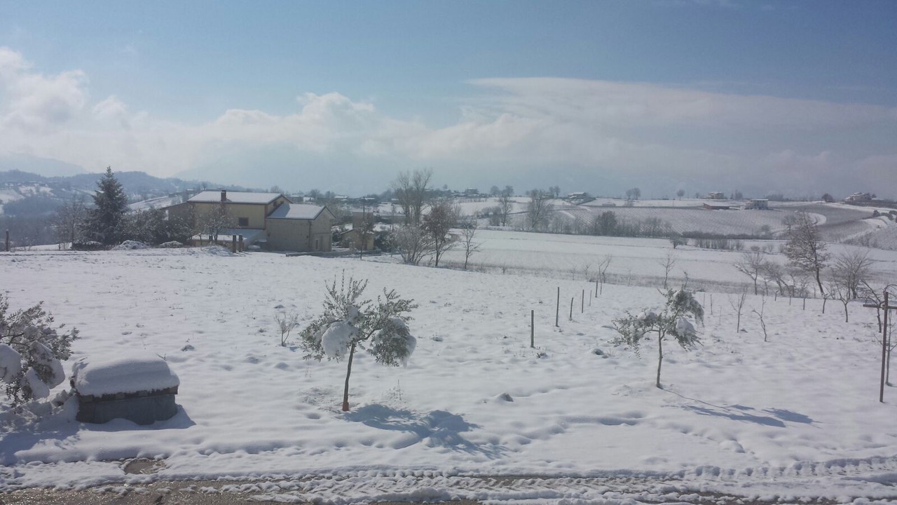 Photo of Outdoor in Alvito