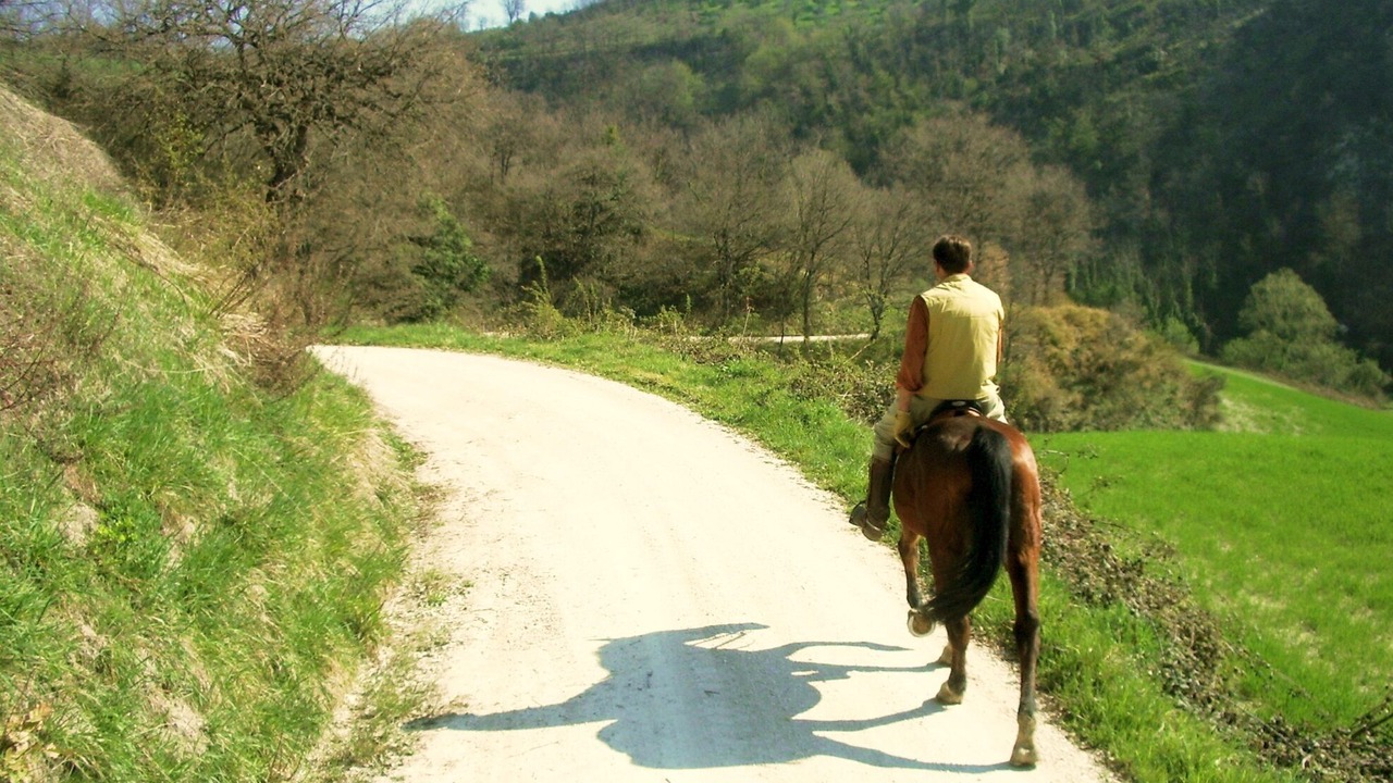 Photo of Others in Serrungarina