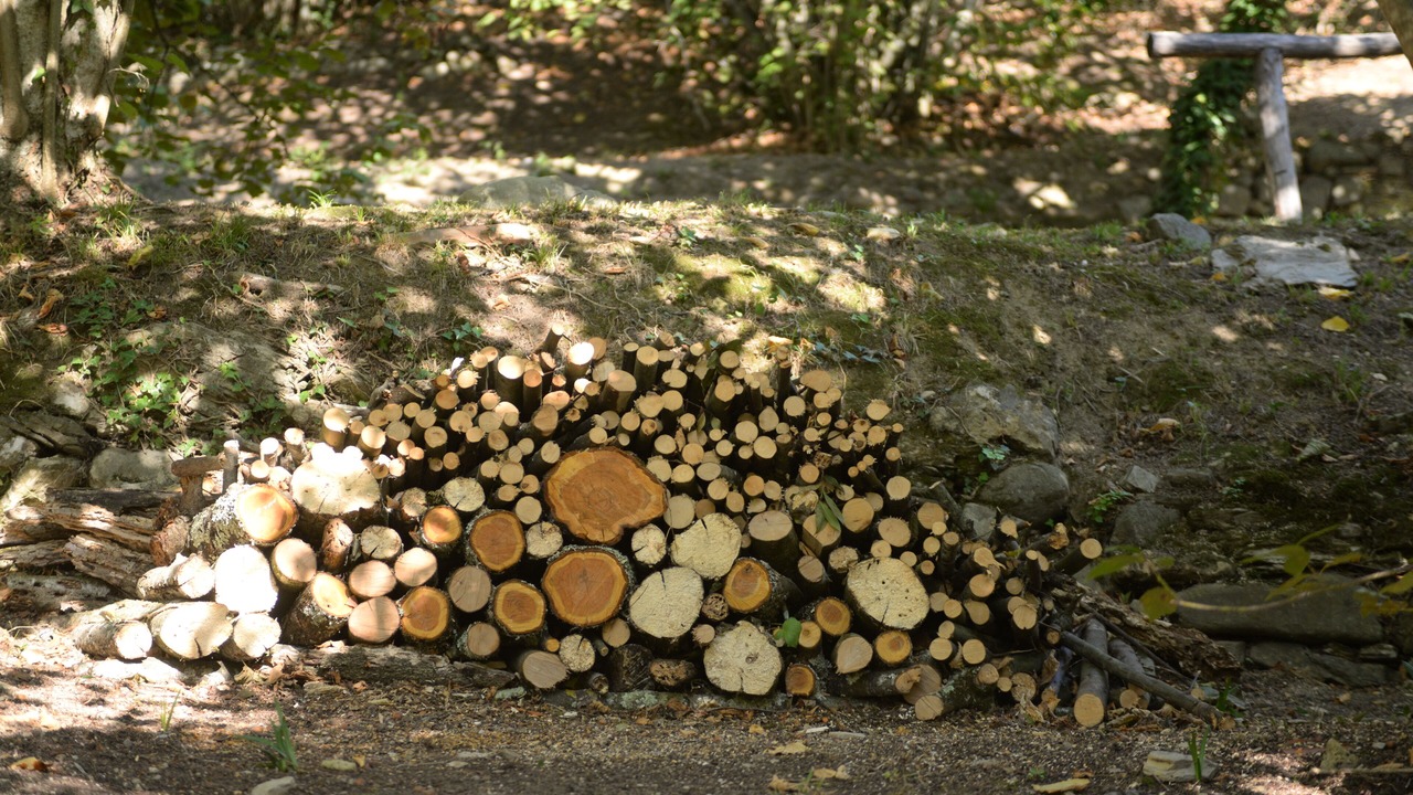 Photo of Outdoor in Ortonovo