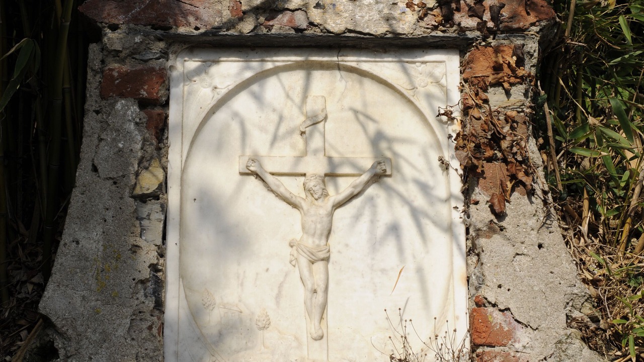 Photo of Outdoor in Ortonovo