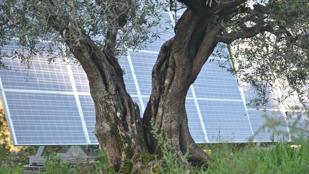 Photo of Others in Radicondoli