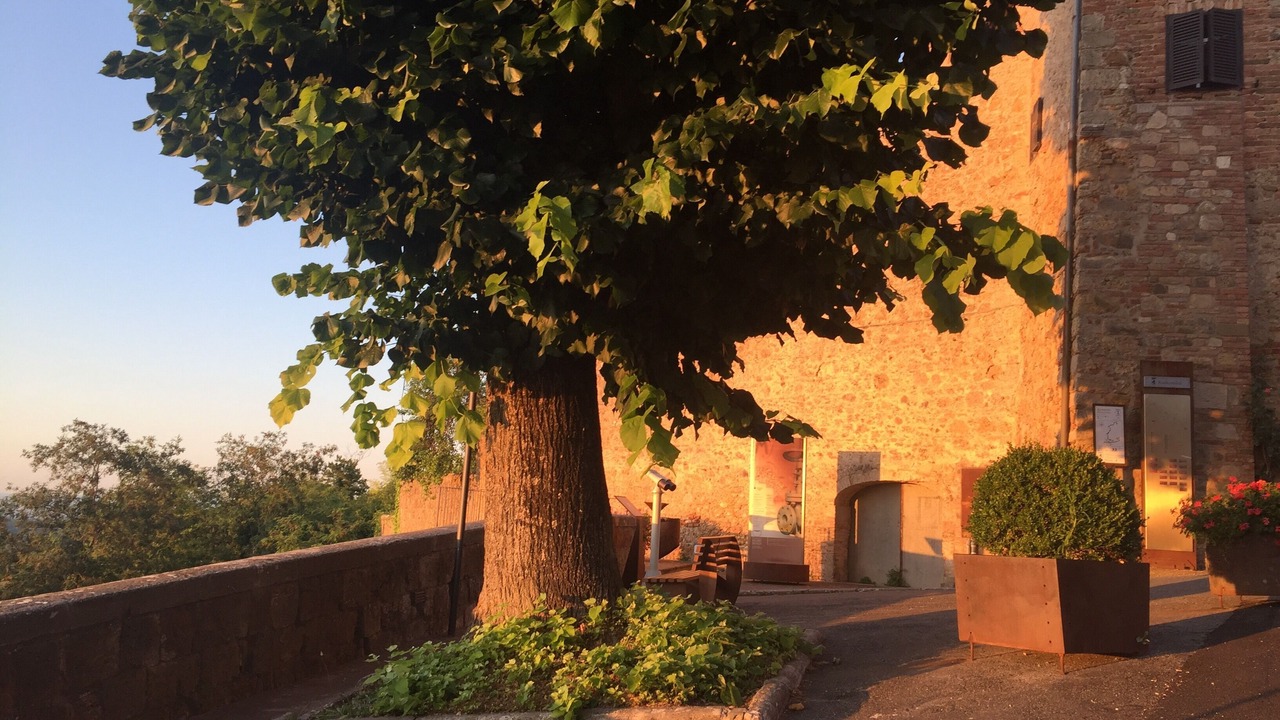 Photo of Outdoor in Radicondoli